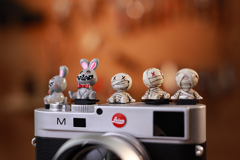 Cute Christmas Horror  Hot Sho - огляд і ціна Fujifilm Camera X-T5