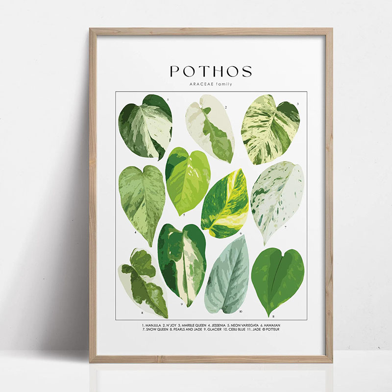 1pc Modern Houseplants Leaves  - огляд і ціна Photography Pose
