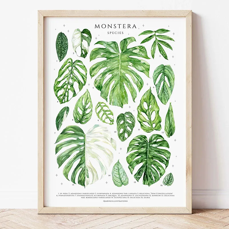 1pc Modern Houseplants Leaves  - огляд і ціна Photography Pose