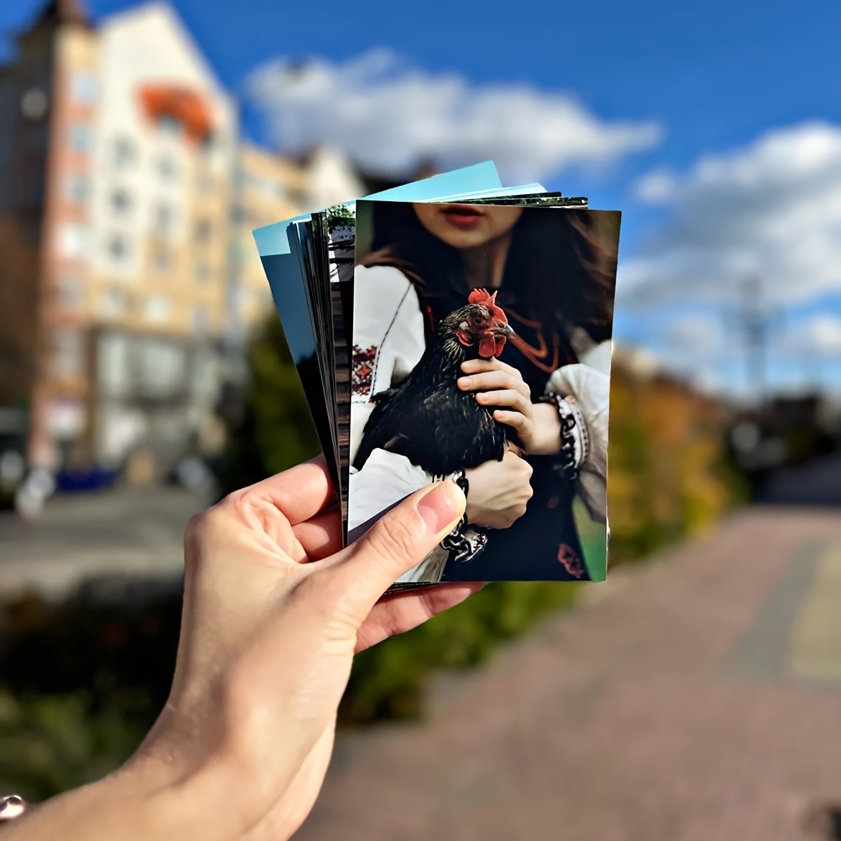 1/3/6Pcs Available, Personaliz - огляд і ціна Photography Website