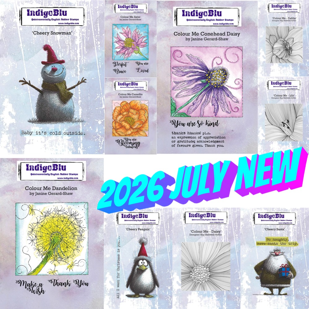 2026 August New Aster Flower I - огляд і ціна Photographic Memory