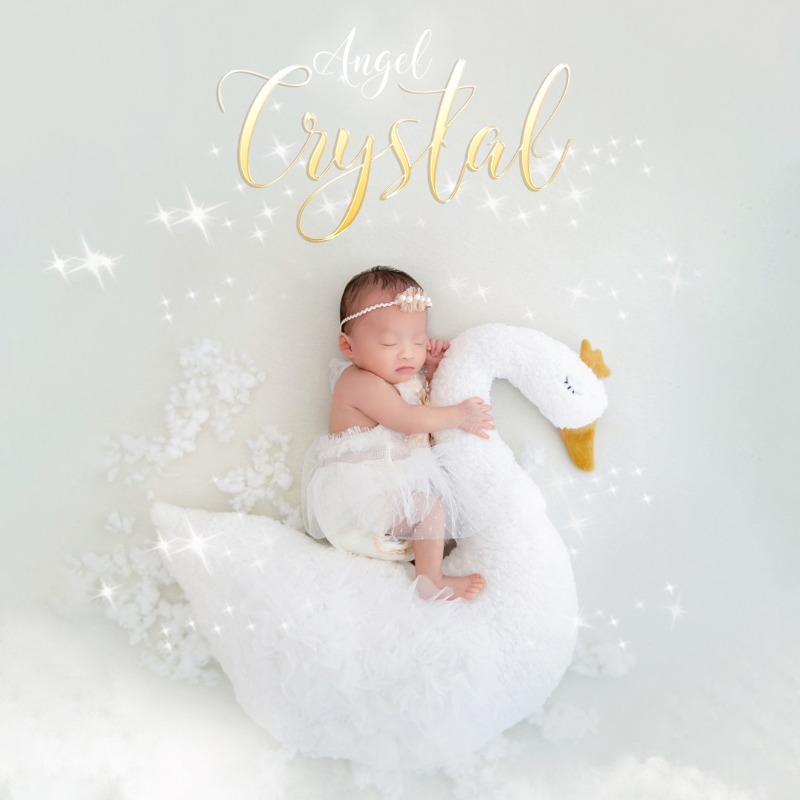 Newborn Photography Prop Swan  - огляд і ціна Photography Outfit
