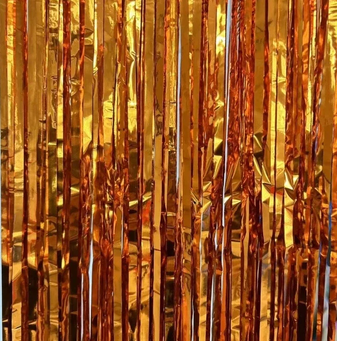 Foil Fringe Curtains Birthday  - огляд і ціна Photography Website